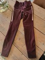 Pantalon HV Polo, taille 36, Animaux & Accessoires, Vêtements d'équitation, Comme neuf, Enlèvement ou Envoi