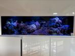 Aquarium 200cm, Ophalen, Zo goed als nieuw