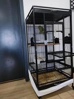 Grande cage, Animaux & Accessoires, Oiseaux | Cages & Volières, Enlèvement, Utilisé, Volière