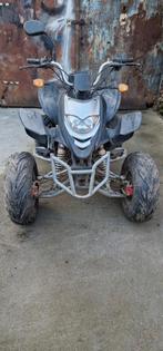 Quad, Motos, Quads & Trikes, 1 cylindre, 250 cm³