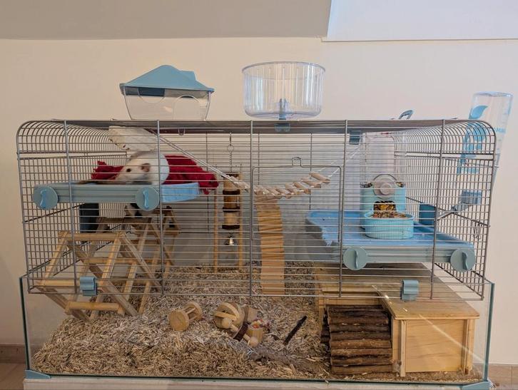 Kooi Zolux, Dieren en Toebehoren, Knaagdieren en Konijnen | Hokken en Kooien, Zo goed als nieuw, Kooi, Ophalen