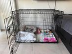 Cage chien, Animaux & Accessoires, Maisons pour chiens, Enlèvement ou Envoi, Neuf