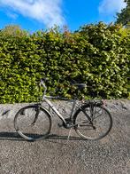 Minerva DMNI X grijs-zwarte fiets met antidiefstalslot, Fietsen en Brommers, Fietsen | Dames | Sportfietsen en Toerfietsen, Zo goed als nieuw