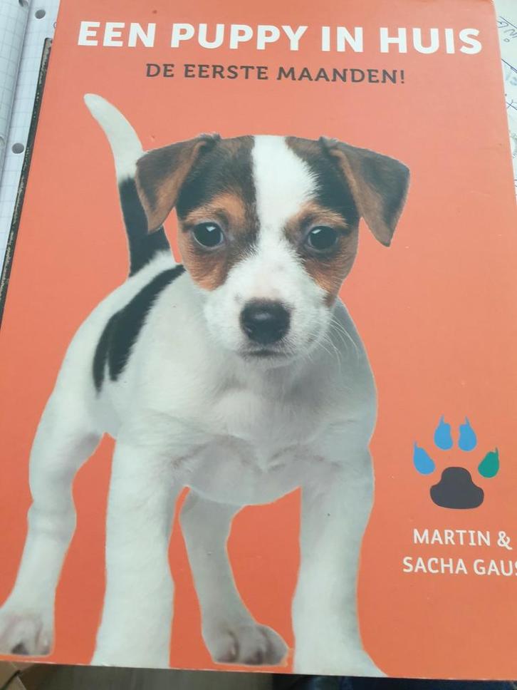 Martin Gaus - Een puppy in huis, Boeken, Dieren en Huisdieren, Zo goed als nieuw, Ophalen of Verzenden