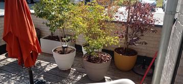 Ensemble de bacs et pots a plante, Enlèvement, Comme neuf