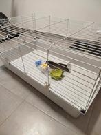 Cage à lapin ou autre, Animaux & Accessoires, Enlèvement, Cage, Lapin