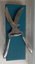 Superbes ciseaux à volaille anciens (D.R.G.M) dans leur écri, Enlèvement ou Envoi