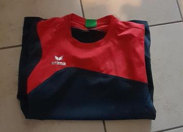 blauw met rood bloesje mt 152 beschikbaar voor biedingen