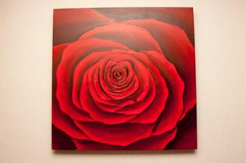 Canvas rode roos beschikbaar voor biedingen