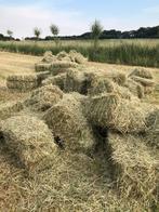 Kleine balen hooi en stro, vrij van JKK of pesticide, Dieren en Toebehoren, Ophalen