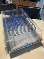 Kooi voor knaagdieren / gerbils of hamsters, Dieren en Toebehoren, Kooi, Minder dan 75 cm, Zo goed als nieuw, Hamster