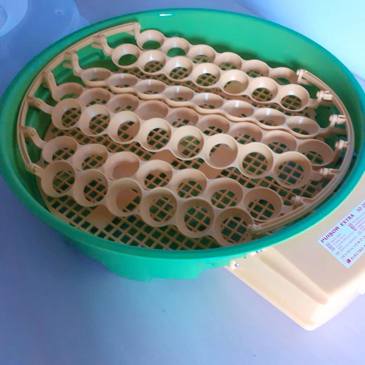 Broedmachine, Dieren en Toebehoren, Pluimvee | Toebehoren, Zo goed als nieuw, Broedmachine, Ophalen