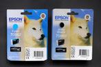 Cartouches d'encre Epson R2880, Informatique & Logiciels, Fournitures d'imprimante, Enlèvement, Neuf, Cartridge, Epson