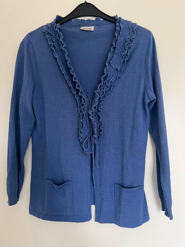 Vest Gaya Pull/ maat M/ €7, Kleding | Dames, Truien en Vesten, Zo goed als nieuw, Maat 38/40 (M), Ophalen of Verzenden