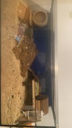 hamsterkooi, toebehoren en hamster, Enlèvement