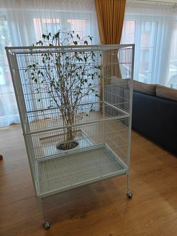 Groot vogelkooi 105(135)hx79bx52d beschikbaar voor biedingen