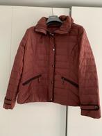 Bordeaux winterjas, Kleding | Dames, Maat 42/44 (L), Ophalen of Verzenden, Zo goed als nieuw, Rood