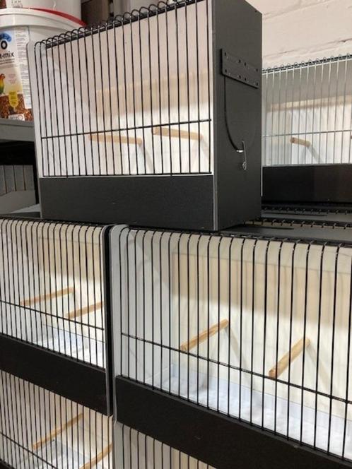 Promo PVC TT kooien 10+1 gratis, Dieren en Toebehoren, Vogels | Hokken en Kooien, Nieuw, Vogelkooi, Kunststof, Ophalen
