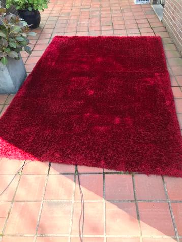 Aalbes rood tapijt 