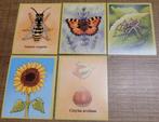 5 verzamelstickers over de natuur (Boeboeks reeks), Ophalen of Verzenden, Zo goed als nieuw, Dier en Natuur