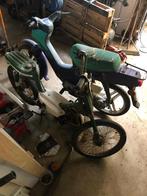 Honda Camino, Wallaroo, Enlèvement