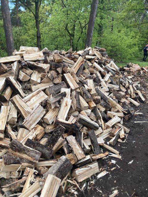 Vers brandhout populier, Jardin & Terrasse, Bois de chauffage, Enlèvement ou Envoi