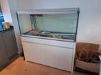 Aquarium 150 x 50 x 50, Dieren en Toebehoren, Vissen | Aquaria en Toebehoren, Ophalen
