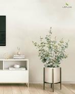 kunstmatige eucalyptus | 60cm | GRATIS LEVERING, Huis en Inrichting, Binnen, -, Verzenden, -
