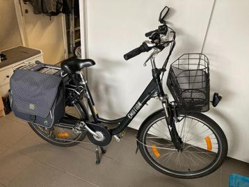 elektrische fiets