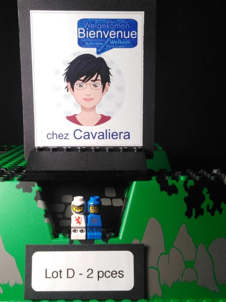 Set D: 2 microfiguren van Lego Games - Lava Dragon Knights, Kinderen en Baby's, Speelgoed | Duplo en Lego, Zo goed als nieuw, Lego