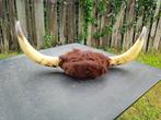 Cornes de vaches, Ophalen