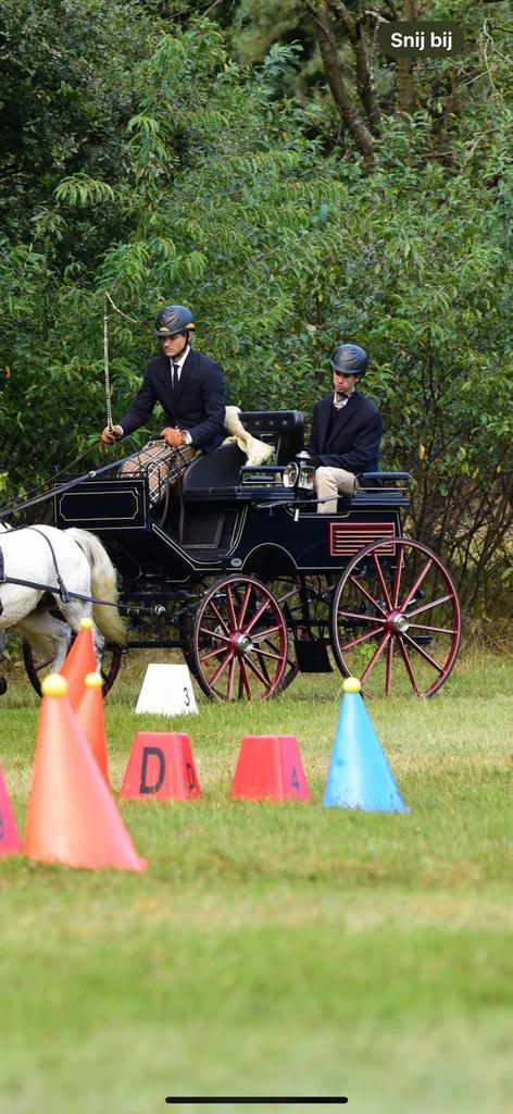 Presentatiewagen / Dressuurkoets / Pony, Dieren en Toebehoren, Rijtuigen en Koetsen, Zo goed als nieuw, Overige typen, Pony