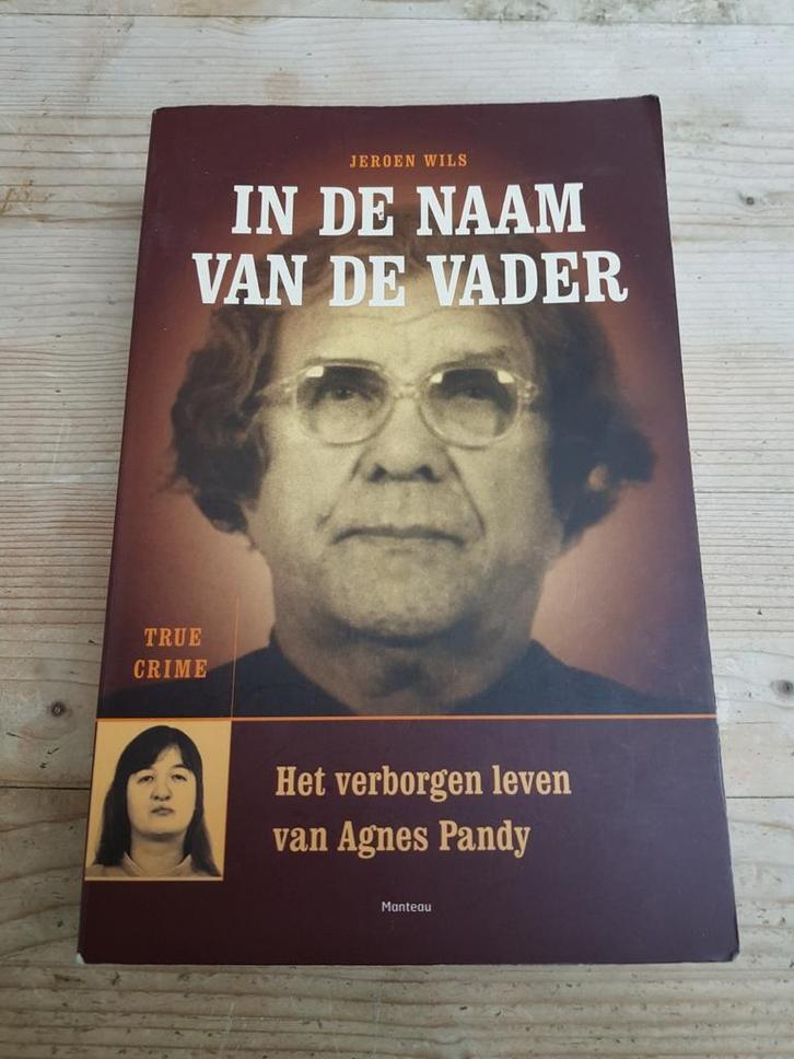 Jeroen Wils - In de naam van de vader  Seriemoordenaar Pandy, Boeken, Overige Boeken, Gelezen, Ophalen of Verzenden