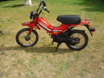 honda px classe A beschikbaar voor biedingen