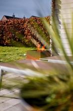 The Flame dme Savoring, Enlèvement