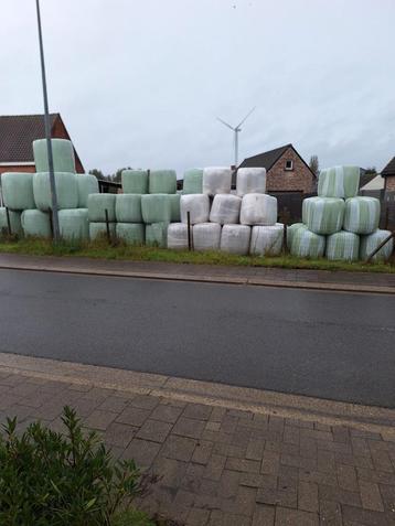 Maisbalen beschikbaar voor biedingen