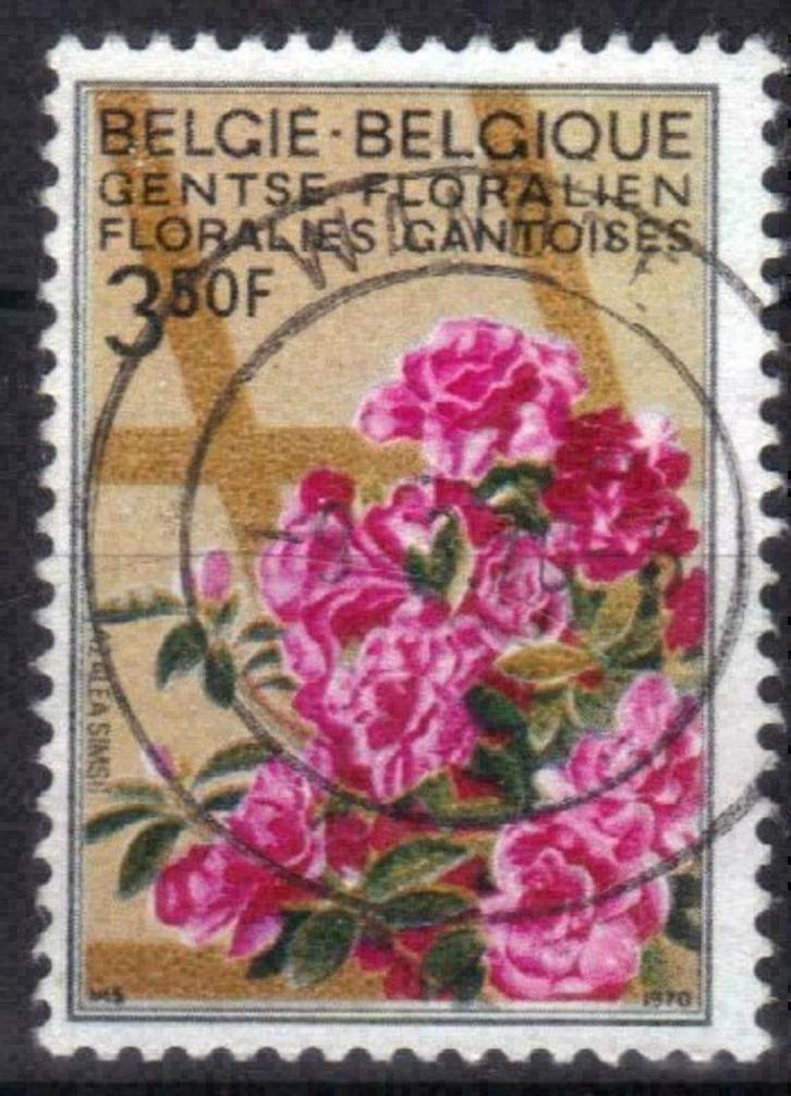 Belgie 1970 - Yvert/OBP 1525 - Gentse Floralien IV (ST), Postzegels en Munten, Postzegels | Europa | België, Gestempeld, Verzenden