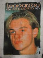 Postervlag Leonardo Di Caprio, Ophalen of Verzenden, Nieuw