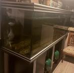 Mooie aquarium te koop, Dieren en Toebehoren, Ophalen, Zo goed als nieuw