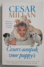 Cesars aanpak voor puppy’s – Cesar Millan, Ophalen of Verzenden, Gelezen, Honden