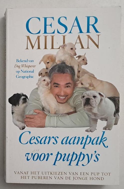 Cesars aanpak voor puppy’s – Cesar Millan, Boeken, Dieren en Huisdieren, Gelezen, Honden, Ophalen of Verzenden