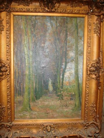 HENRI RUL 1862-1942 huile/toile vue sur la forêt sous-bois 