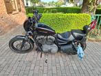Harley-Davidson Nightster, Motoren, Motoren | Harley-Davidson, 2 cilinders, Particulier, Meer dan 35 kW, 1200 cc