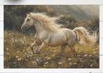 Rijstpapier paard. Tissue papier, Enlèvement ou Envoi, Neuf