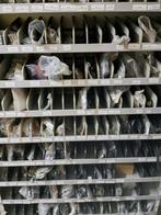 Set nieuwe PEUGEOT SCOOTER-onderdelen, Motoren, Ophalen, Nieuw