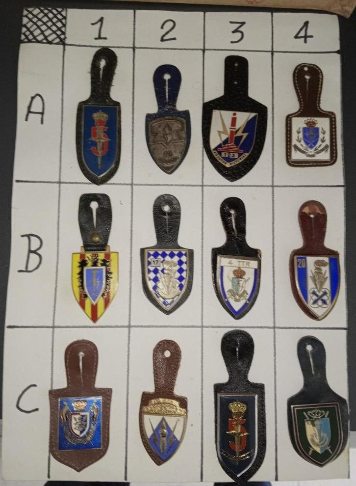 VerschillendeTransmissietroepen -borstzakhanger., Verzamelen, Militaria | Algemeen, Landmacht, Embleem of Badge, Ophalen of Verzenden