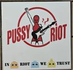 Pussy riot - In riot we trust, Ophalen of Verzenden, Zo goed als nieuw