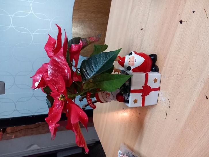 Montage de Noël, Diversen, Kerst, Nieuw, Ophalen