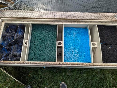 Meerkamerfilter, Dieren en Toebehoren, Vissen | Vijvervissen