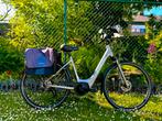 Elektrische fiets trek bosch actief line, Enlèvement ou Envoi
